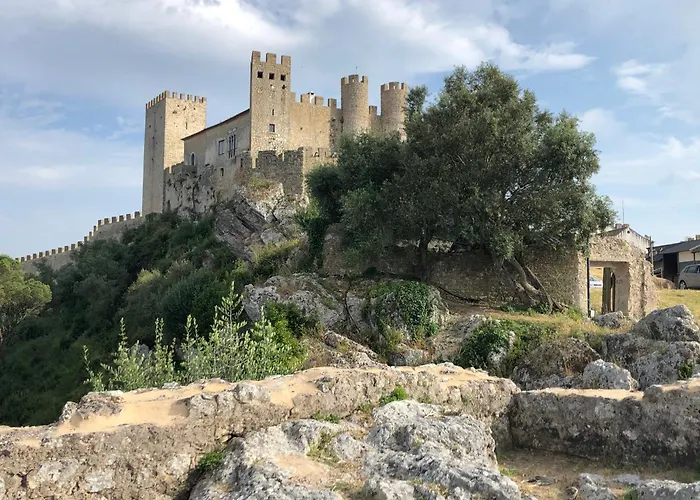Casa Botanica Vila *