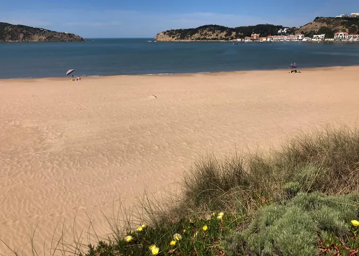 Vila Casa Botanica Vestiaria